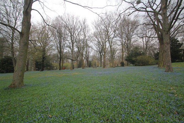 Fruehling   093.jpg